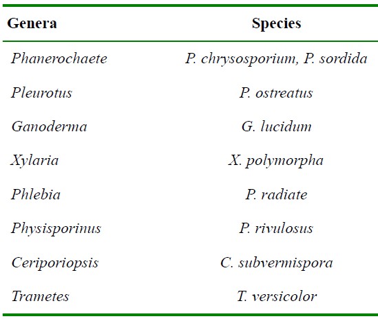 Diferentes tipos de géneros y especies de hongos involucrados en la producción de enzimas ligninolíticas.